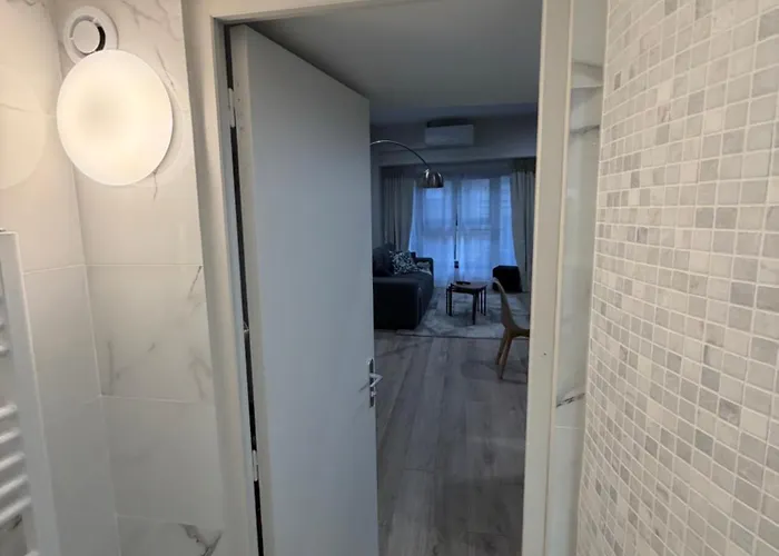 Avec Cosy Et Canape Convertible Apartman